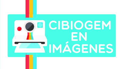 imagenes cib logo
