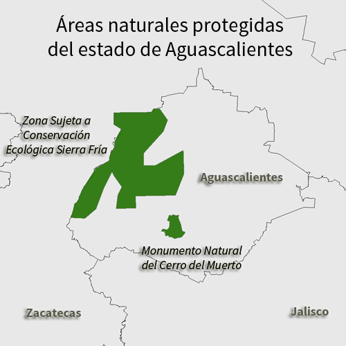 ANPL-Aguascalientes