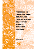 Protocolo de Cartagena sobre Bioseguridad de la Biotecnología del Convenio sobre la Biodiversidad Biológica