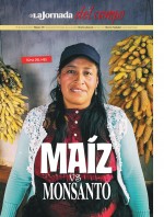 Maíz vs Monsanto 
