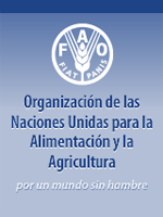 Declaración de la FAO sobre Biotecnología