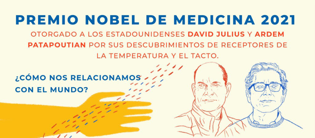 Lee más sobre el artículo Premio Nobel de Medicina 2021