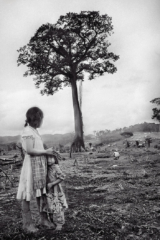 Fotografía en blanco y negro de dos niñas mayas mirando un árbol de ceiba solitario en medio de un campo desforestado