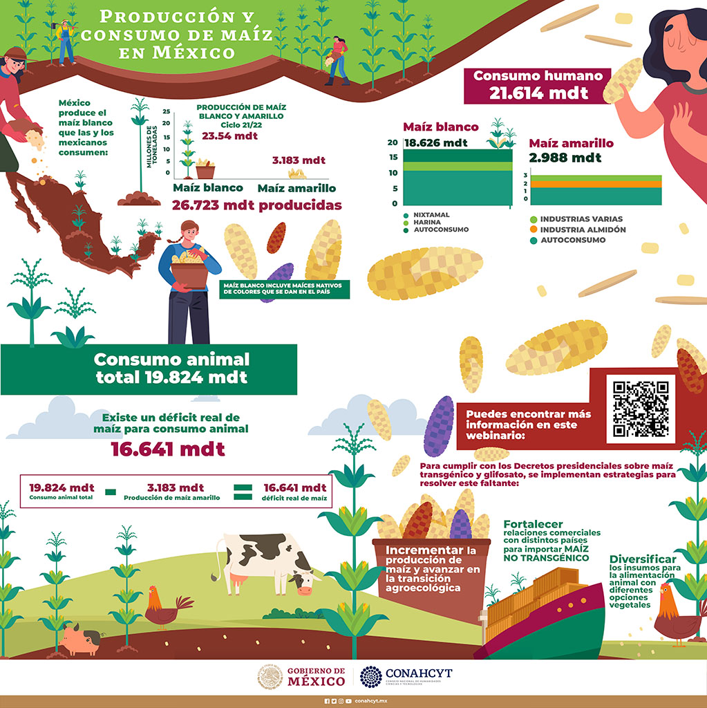 Infografía 4 Producción y consumo de maíz en México