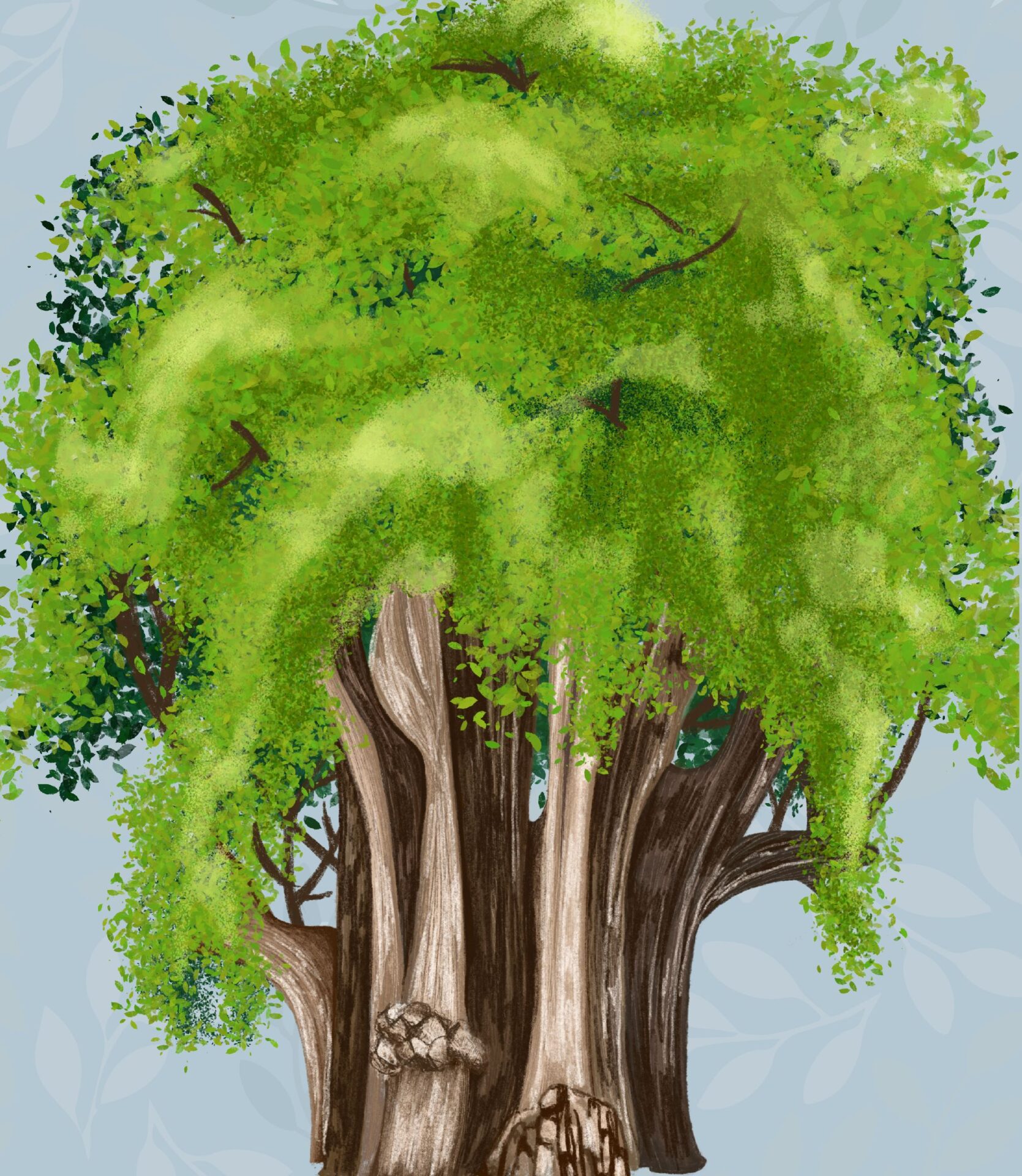 Lee más sobre el artículo Transpiración en las plantas, estomas y el árbol del Tule